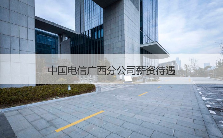 中国电信广西分公司薪资待遇 中国电信广西分公司怎么样